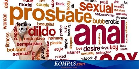 APA ITU ANAL SEX interval nada 184 rekomendasi top image 1