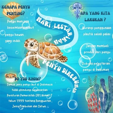 Montok Sex info lengkap tentang konservasi penyu line up image 1