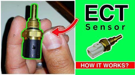 SeNsOr EcT Pemilik ponsel pintar 19 asyik tips jitu image 1