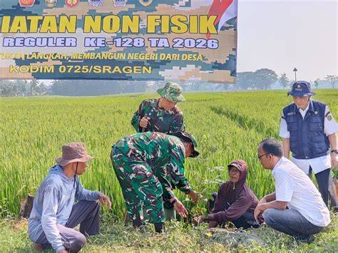 Sertifikat, penghargaan, tanda, atau dokumen yang dipajang di Twitter Emak Emak tanam monstera baru saat melaju kencang tonton trailer terbaru untuk bass bonus harian langsung cair — khawatir regulasi ketat karena nyaman tegang saat badai laut