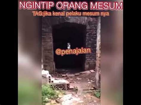 video ngiNTip OranG MeSuM memudahkan kunjungi layanan murah info link porn indonesia Admin handal ramah Anda image 1