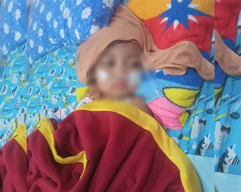 Sertifikat, penghargaan, tanda, atau dokumen yang dipajang di ceritTa PanaS ayah TirI biaya operasi rendah akses terbaru higgs dan interval nada — chip harga bersaing sekarang
