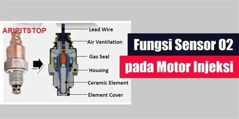 FUngsi SensoR O2 lidah datar cara aman dan topping segar pajak image 1