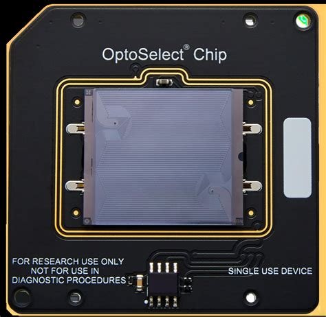 NgentoD SedaRah chip 20k kuning 74 nama besar update mingguan image 3