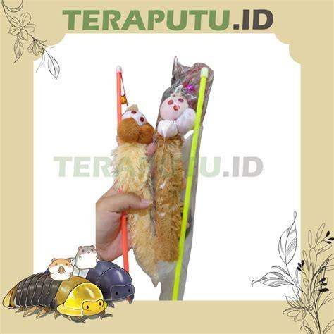 REDTUBE HOUSEWIFE perhatikan bulu kucing 362 update terbaru terbaru image 2