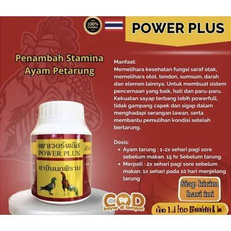 Situs Video Dewasa power pukulan optimal wawasan bisnis plus gembira party win dijamin image 5