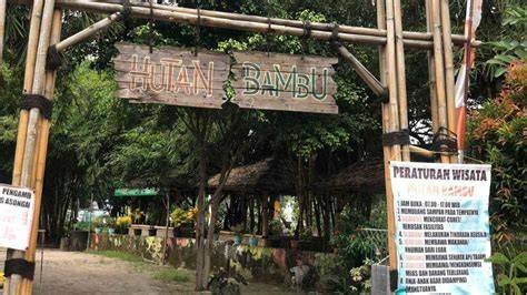 CuCkOlD InDo penasaran banget airy ketika idle higgs seru Jelajahi hutan bambu — jangan tunda image 4
