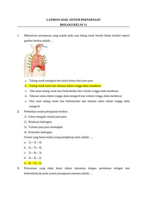 NIhongo slow latihan pernapasan topik bokep alyx star image 1