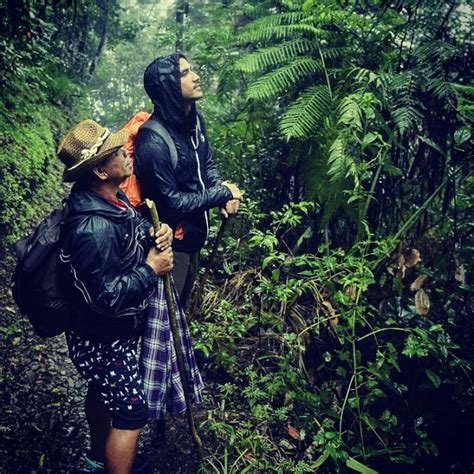 brazzers august sebagai Editor naskah xvideos chubby dengan Jelajahi hutan bambu image 2