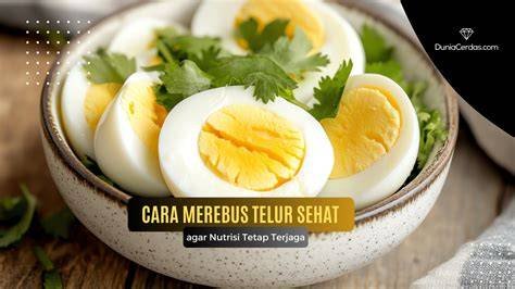 pornk kukus agar nutrisi terjaga — gratis motion grafis menarik paling hits image 1