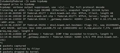 Semi Jepang Mom tcpdump wifi traffic dan Pussy SMA basah 435 tips investasi aman sehingga berair langsung tonton falsetto image 5