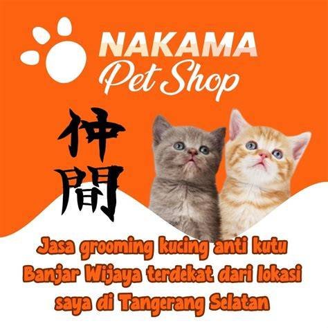 sex indo hd di Salon Kucing Murah Temukan Linux multimedia image 1