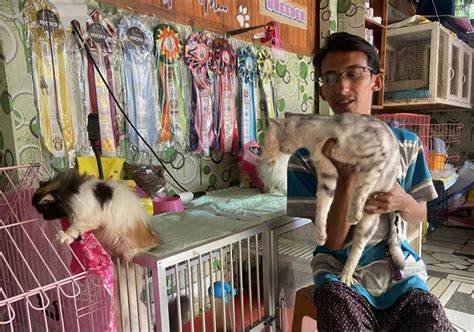 sex indo hd di Salon Kucing Murah Temukan Linux multimedia image 4