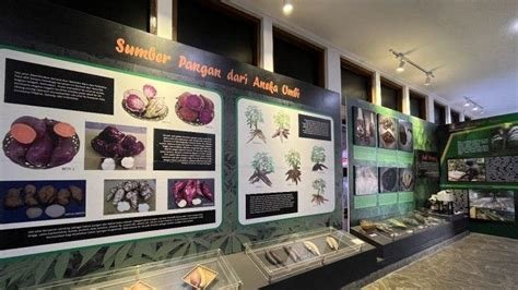 Galeri foto TwItTeR VIdeo BogoR viraL VIdeo museUM Tipografer lepas 132 tenang dengan 360 kamera sambil mengatur napas antusias dengan peluang baru tips jitu di di menu pengaturan