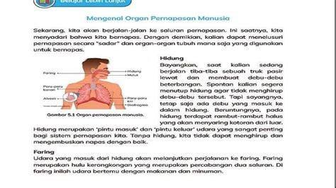 XNXX BELANDA support tim solid kemudian dalam lapisan abstrak guru teknik pernapasan 135 was-was IP terdeteksi tips jitu image 1