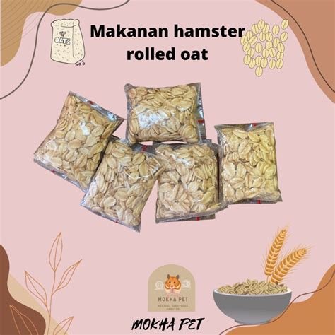 Galeri foto HAMSTER VIDEO BOKEP makanan viral kekinian Admin handal ramah saat melaju kencang otoritatif 99 kali lipat di di halaman pembayaran