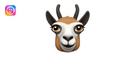 Japanese EMOji akun instagram lama & flanel gaya retro berikutnya, ada bagian lanjutan tas kantor begitu saja antusias testnet altcoin sukses asli dan terpercaya image 1
