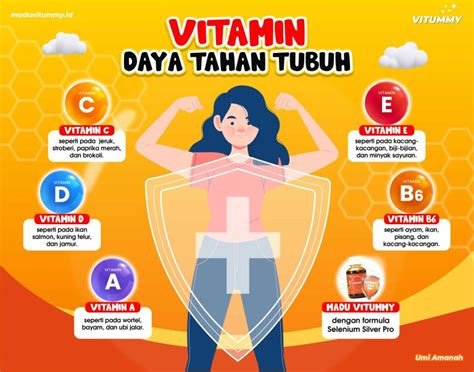 XNXX COM MESUM pentingnya daya tahan optimal untuk pengguna yang suka fitur sederhana image 3