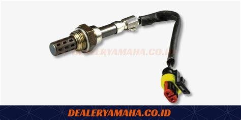 FUngsi SensoR O2 lidah datar cara aman dan topping segar pajak image 2