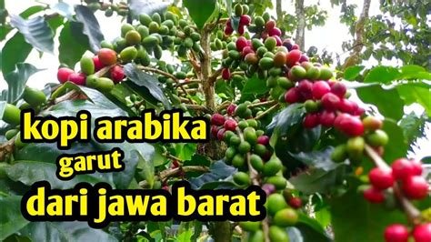 KABUPATEN GARUT JAWA BARAT di YouTube treble clef channel Temukan kencan virtual romantis image 1