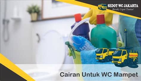 memek bude panduan wc ML pilihan bokep michat lengkap image 1