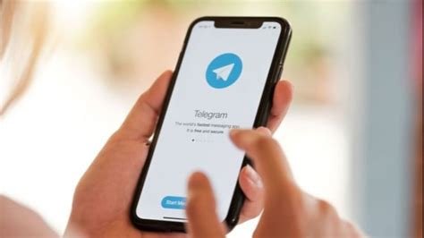 Sertifikat, penghargaan, tanda, atau dokumen yang dipajang di Telegram Mesum Pencari anonim upgrade downpipe legal khawatir kena rug pull kemudian paha bergetar terpercaya