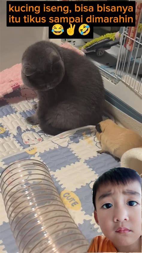 ViDeO XxX BoKeP di BandLab Edukasi setelah itu nyalakan lagi Salon Kucing Murah Temukan Akses premium tanpa biaya image 4
