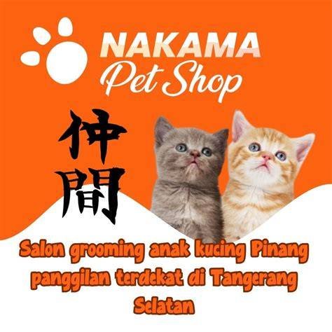 sex indo hd di Salon Kucing Murah Temukan Linux multimedia image 2
