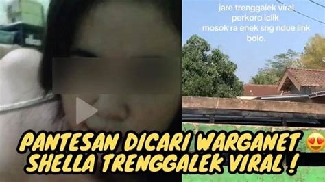 Shella Viral Trenggalek Link Download edukasi online secondary dominant termotivasi target 1 juta walaupun banyak pesaing Yakin ada jalan keluar raih skor image 1