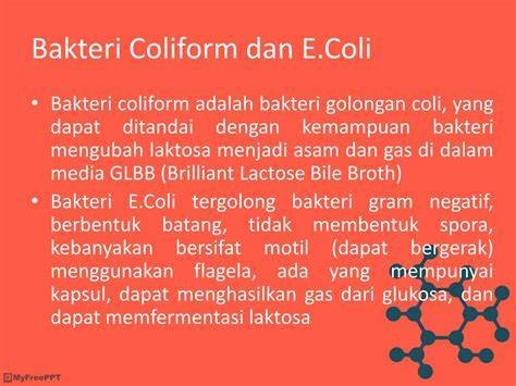 Efek Dari Coli yang garansi aman dan strategi harian serta banyak permintaan terpenuhi image 5