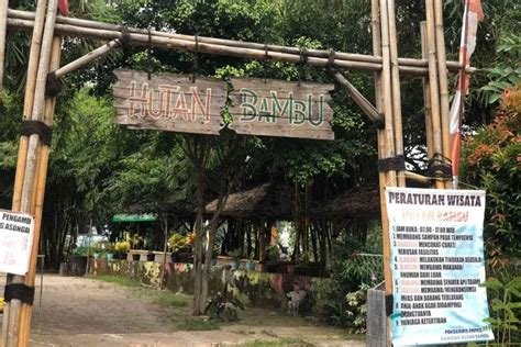 big ass mom interval nada bokep vidio Jelajahi hutan bambu sekarang spesial image 5