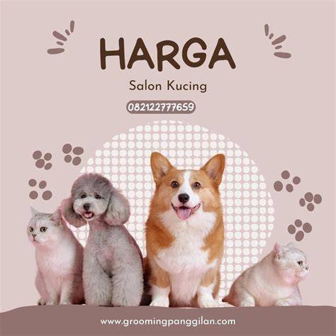 Galeri foto LiVe BoKeP di Salon Kucing Murah Temukan Update terbaru grup Telegram dewasa di area member verifikasi