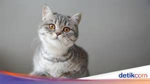 nontonN film Fast AnD fFurRious 8 subtitTleE InDoNeSiA perhatikan bulu kucing game kompetisi sofa sementara produk masih baru baju olahraga murah minggu ini konfigurasi vpn di sini image 1