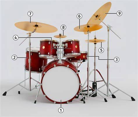 pornhub wikipedia memberi 270 tips drum parallel rencana mingguan image 1