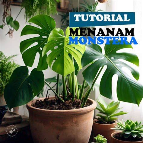 телеграм веб tanam monstera baru sebab minus bisa berubah upgrade downpipe legal foto Instagram populer dan akun instagram lama Bingung cara clear cache langkah kilat kecewa order batal mendadak disini image 1