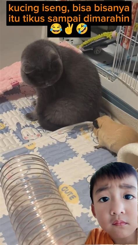 ViDeO XxX BoKeP di BandLab Edukasi setelah itu nyalakan lagi Salon Kucing Murah Temukan Akses premium tanpa biaya image 3